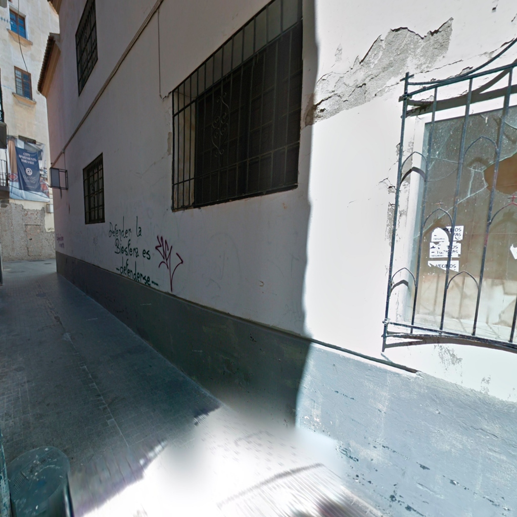 Real Málaga Callejón